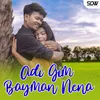 About Adi Gim Bayman Nena Song